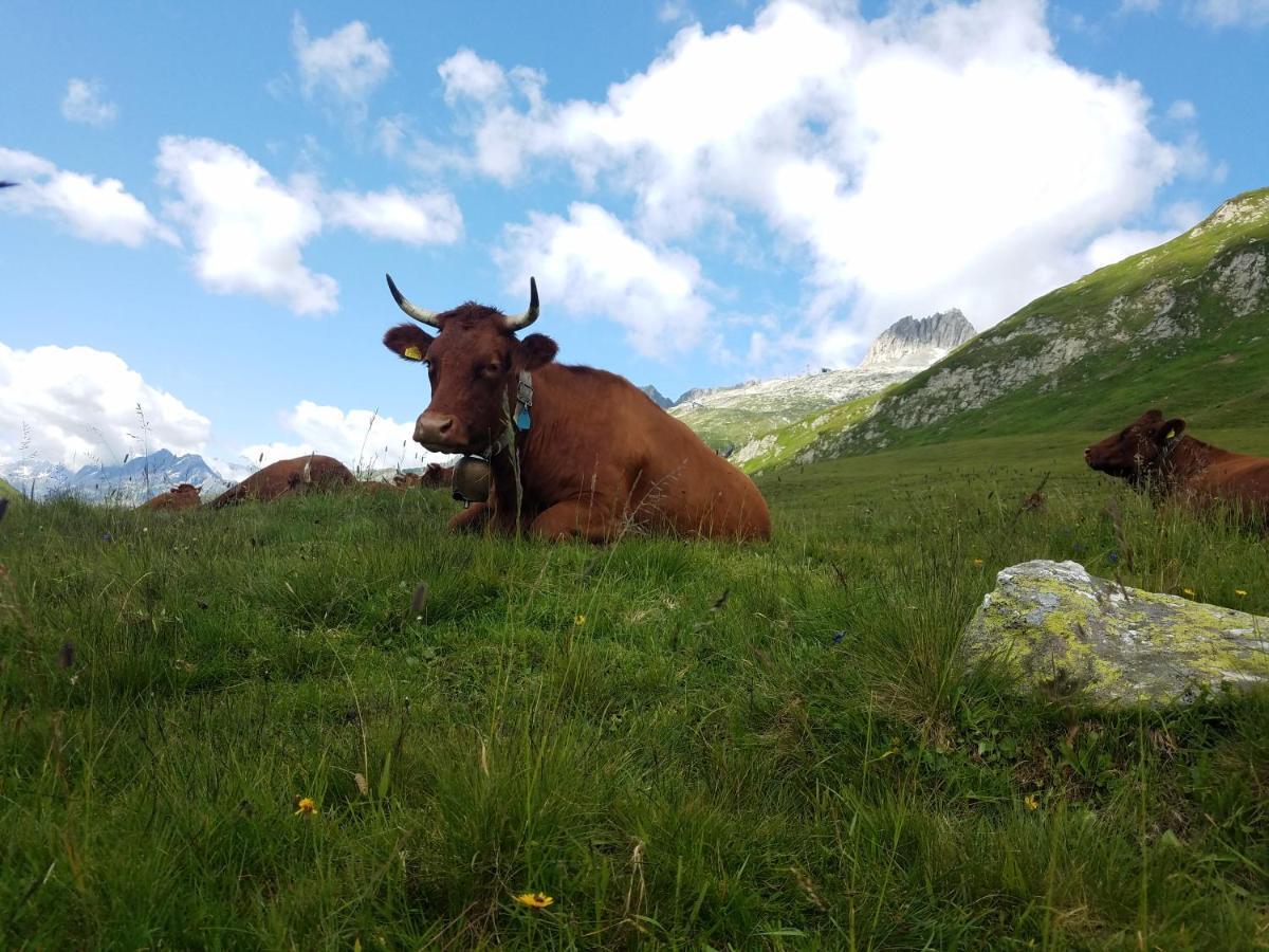 Tgesa Felici Lägenhet Sedrun Exteriör bild