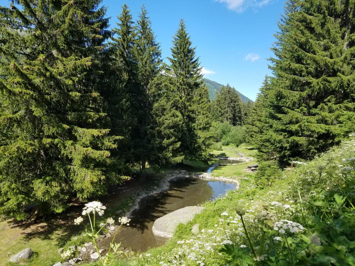 Tgesa Felici Lägenhet Sedrun Exteriör bild